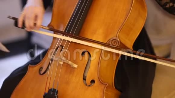 街头小提琴音乐家视频的预览图