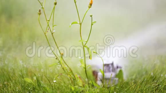 草坪喷雾器给公园里的草浇水视频的预览图