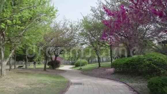 生长着红树和鲜花的植物园视频的预览图