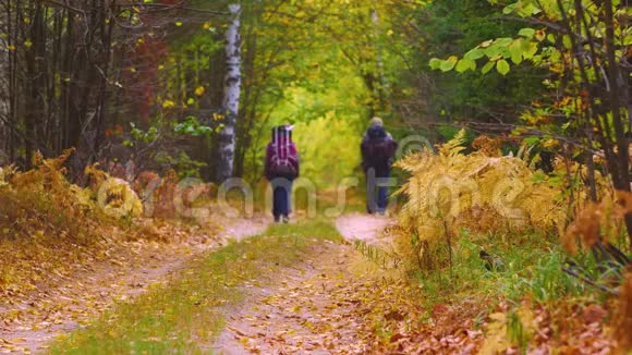 两个背着背包的游客在森林道路上行走放松概念徒步旅行视频的预览图