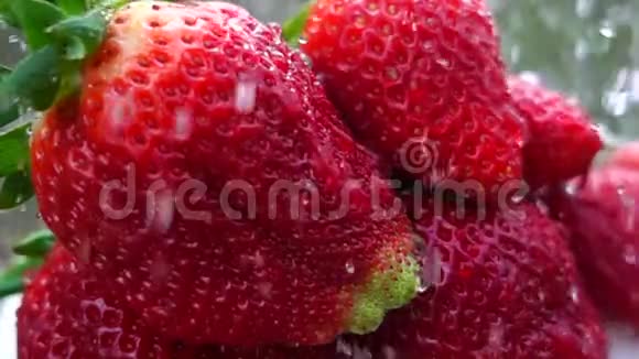 草莓水果慢动作视频的预览图
