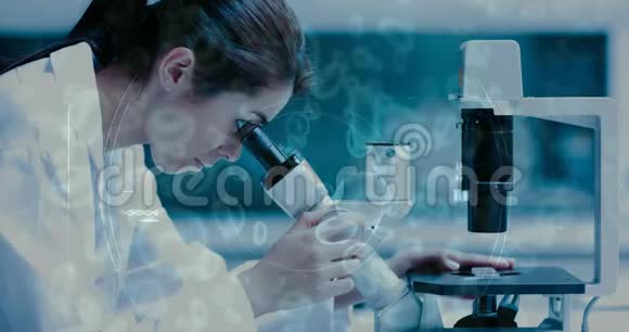科学作文女人看显微镜与动画结合视频的预览图