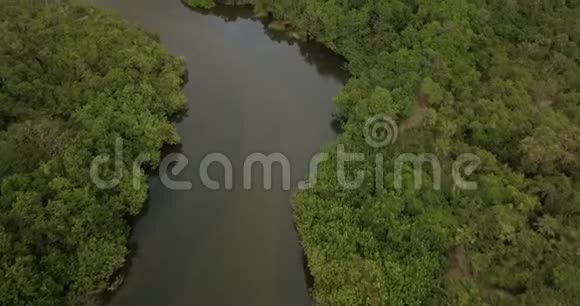 在一个泻湖上森林里的河流视频的预览图