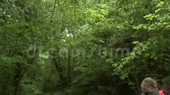 两个人在树林小径散步视频的预览图