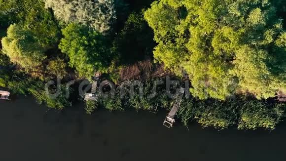 田野和森林之间的池塘视频的预览图