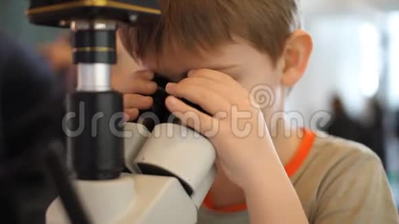 少年男孩透过显微镜看昆虫展览视频的预览图