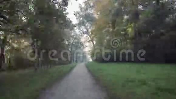 走在秋天的公园里视频的预览图