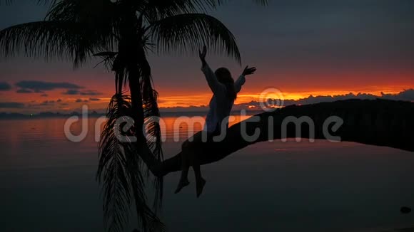 一个女孩坐在海滩上红色日落背景下的棕榈树上视频的预览图