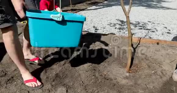 人们在花园里种了浇水树视频的预览图