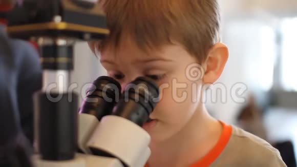 少年男孩透过显微镜看昆虫展览视频的预览图
