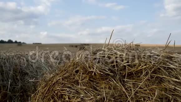 草垛被铲在田野上视频的预览图