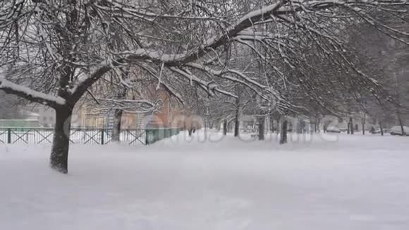 美丽的冬天天气一棵树上的雪暴风雪背景城市慢动作视频的预览图