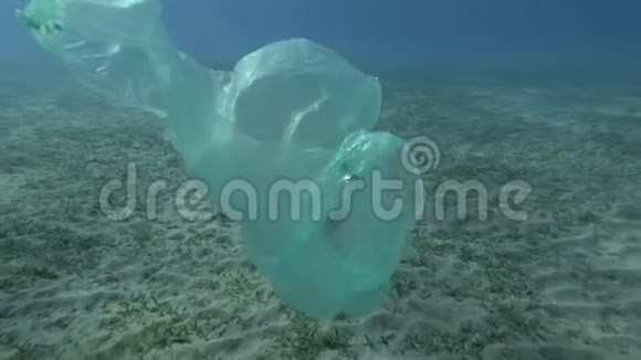 海马被困在塑料袋里漂浮在海底海洋的塑料污染丢弃的塑料袋随海漂浮视频的预览图