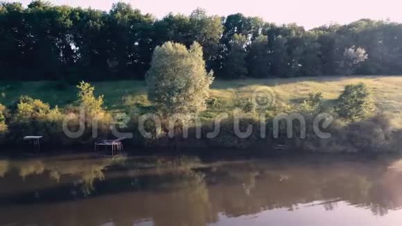 田野和森林之间的池塘视频的预览图