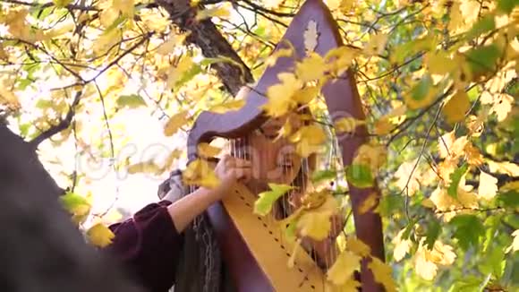 一个年轻的女孩弹竖琴她坐在秋天公园的一棵树下视频的预览图