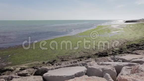 沙滩上长满了绿藻夏天被平静的海浪拍打视频的预览图