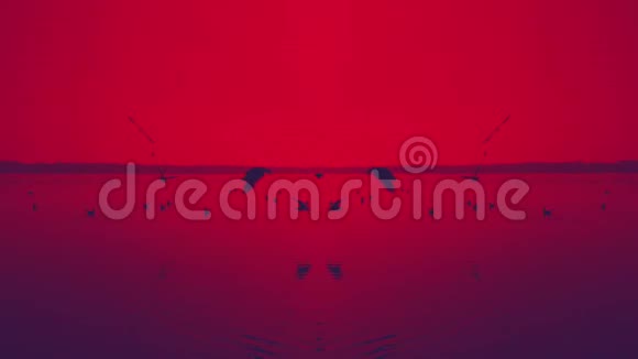 风景优美的红湖鸟儿在缓缓飞翔视频的预览图