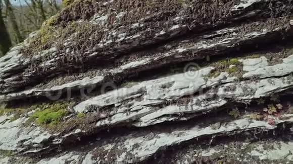 有一个苔藓覆盖的岩层在一个特写视频的预览图
