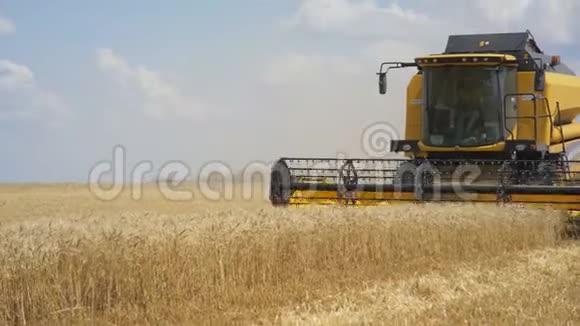 联合收割机收割小麦小麦收获剪组合在现场斯坦迪卡姆食品工业视频的预览图