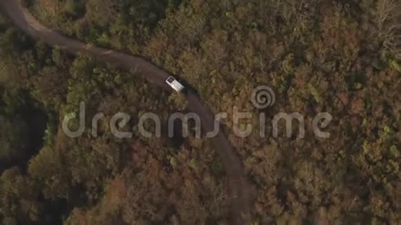 旅游运输沿着蜿蜒的土路穿过森林和灌木丛视频的预览图