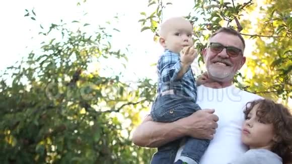 快乐的祖父和他的两个孙子在日落时拥抱在苹果园里孩子在一个视频的预览图