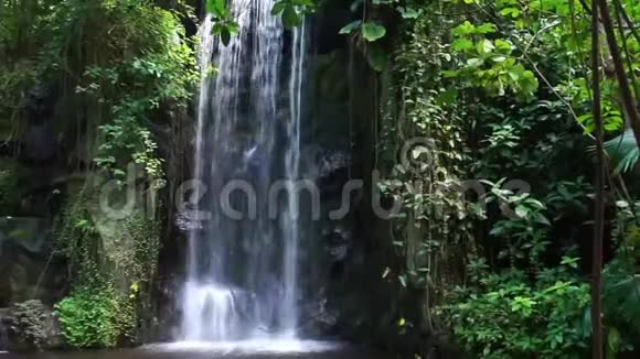 热带雨林风光热带大花园大自然背景下的大流水视频的预览图