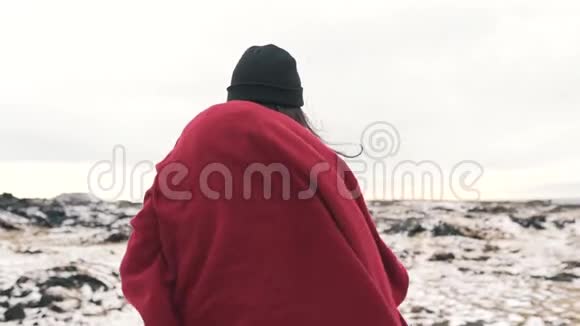 有格子花的女孩在冰岛散步视频的预览图