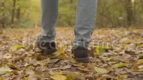 一条穿着蓝色牛仔裤和深褐色靴子的雄性腿的特写穿着黄色叶子在秋天的森林里行走视频的预览图