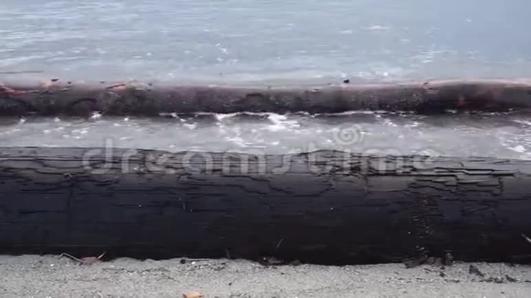 碎片原木被海浪冲入海洋视频的预览图