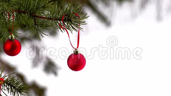 红色圣诞球装饰挂在外面的松树枝上背景是雪放大视频的预览图