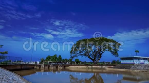 马来西亚Kedah河边美丽的蓝色天空的树木渐变视频的预览图