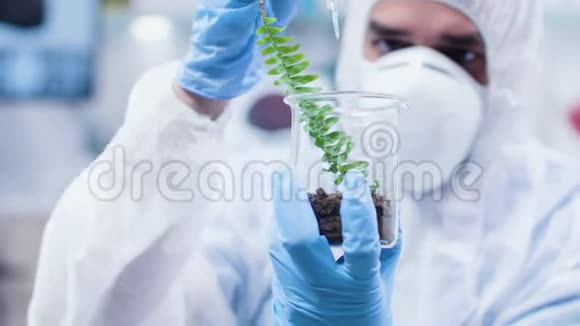 研究人员在植物上浇筑转基因视频的预览图