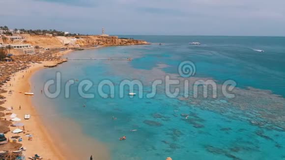 珊瑚海滩全景带遮阳伞太阳床和棕榈树在珊瑚礁红海的豪华酒店埃及视频的预览图
