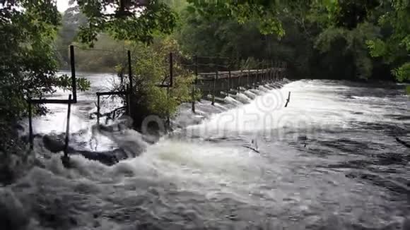 森林里的河坝视频的预览图