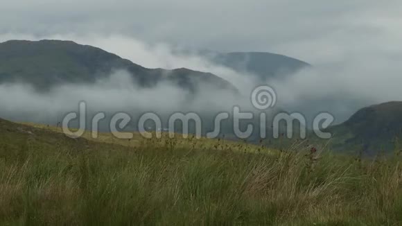 雾中的草地和翻滚的山峦视频的预览图