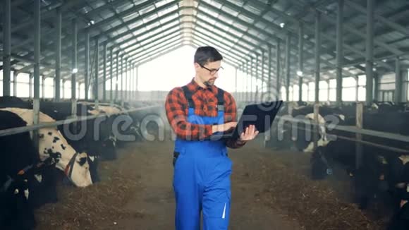 农业专家现代农民正在用他的笔记本电脑检查奶牛视频的预览图
