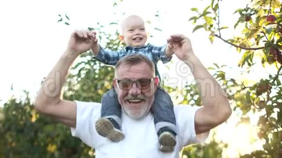 快乐的祖父抱着一个快乐的孙子日落时一家人在花园里玩得很开心祖父和祖父视频的预览图