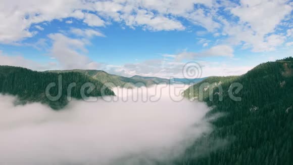 在一个充满雾气的绿色山谷上空盘旋视频的预览图