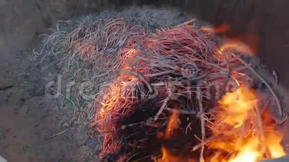 在道观举行的中国新年庆典上用壁炉烧香和纸钱仁慈女神视频的预览图