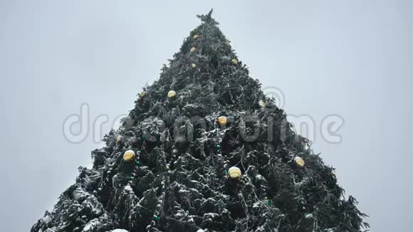 降雪时装饰圣诞树的底部景色大风雪中的除夕夜冬天开始的概念视频的预览图