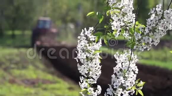拖拉机在春天犁田视频的预览图