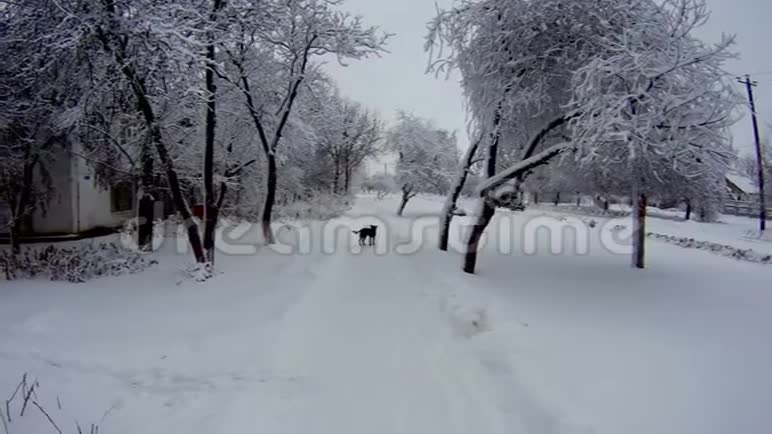 白雪覆盖的人行道视频的预览图