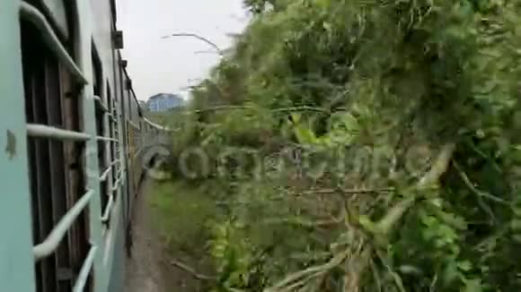 火车经过森林2视频的预览图