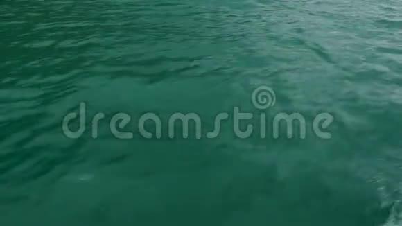 深绿的水面视频的预览图