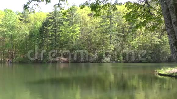 格鲁吉亚堡山湖有树木倒影从左到右视频的预览图