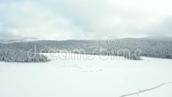 空中令人叹为观止的景色飞过被白雪森林包围的冰冻湖视频的预览图