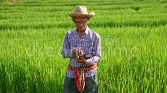 使用现代稻田技术的亚洲高级男农视频的预览图