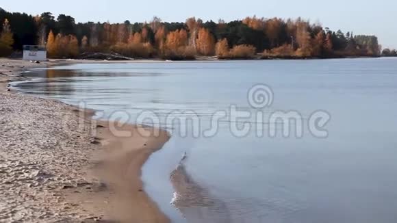 秋天的大海宁静的小波浪海滩上的喜怒无常的日子大自然的视频视频的预览图