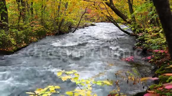 依拉西山脉的景色在秋天森林的色彩斑斓的树叶中快速流动视频的预览图