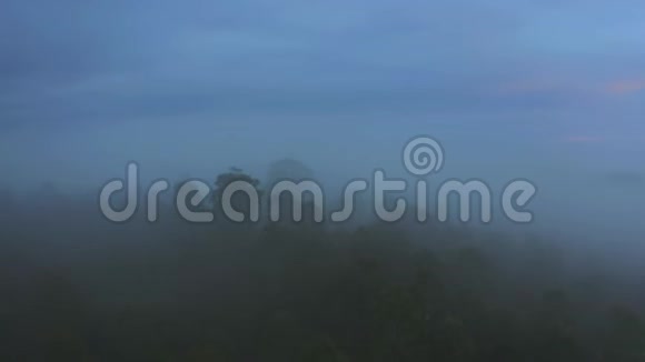 薄雾和雾气吞没了山坡视频的预览图